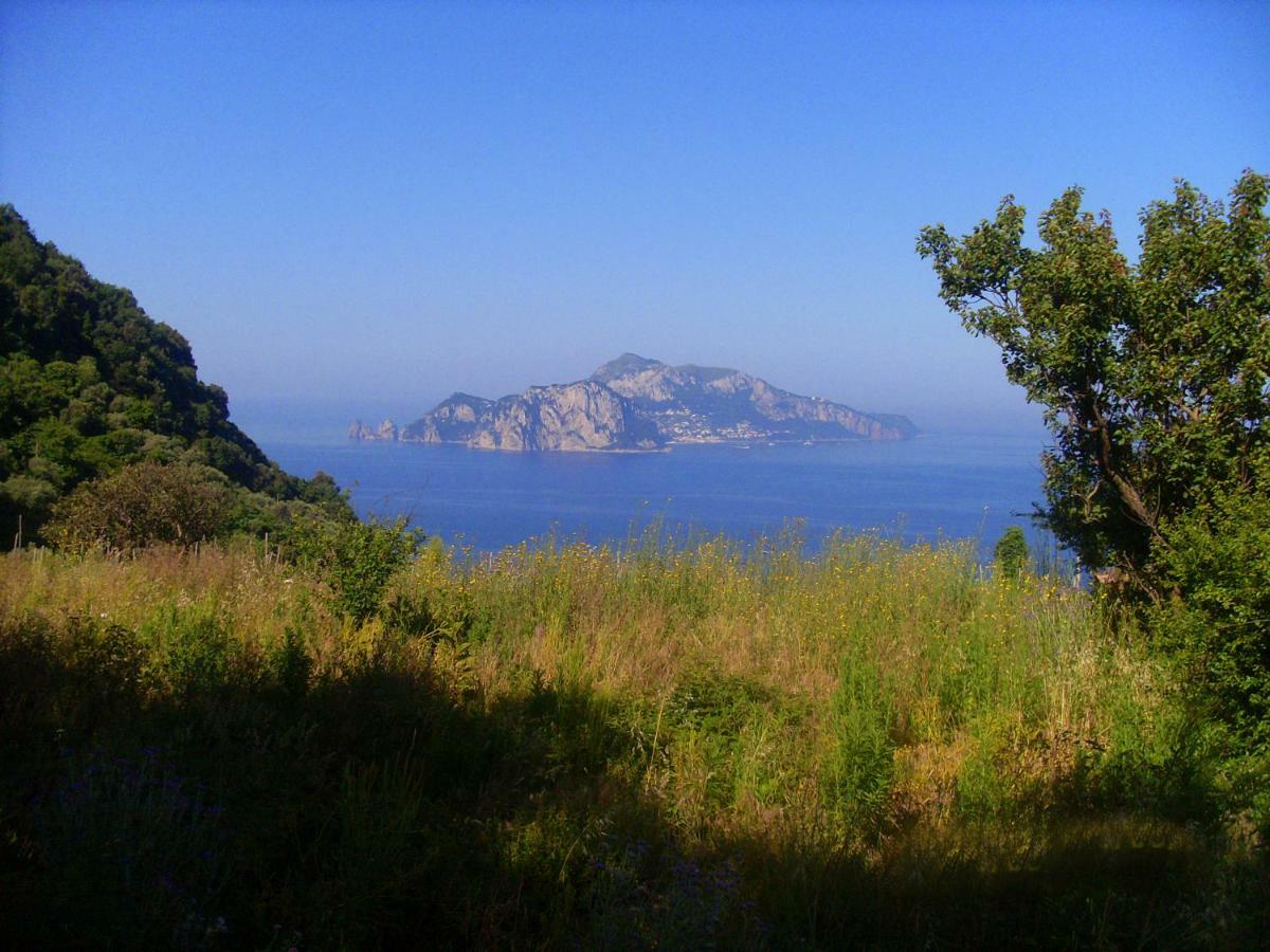 Il Paradiso Degli Dei 2 Agerola Dış mekan fotoğraf